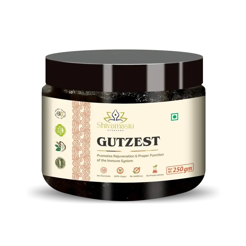 GUTZEST Chyawanprash 250g — Ayurvedic Herbal Jam with 52 Herbs — Immune Support & Whole-Body Rejuvenation